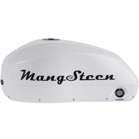 Mangosteen E-bike battery for FT02/FT02mini