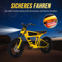 Mangosteen FT03 EBike