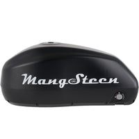 Mangosteen E-bike battery for FT02/FT02mini