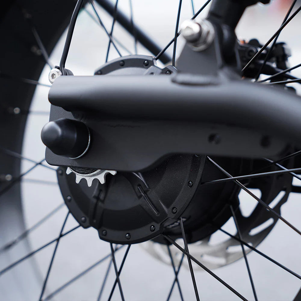 Mangosteen FT02 EEC Chopper Bike