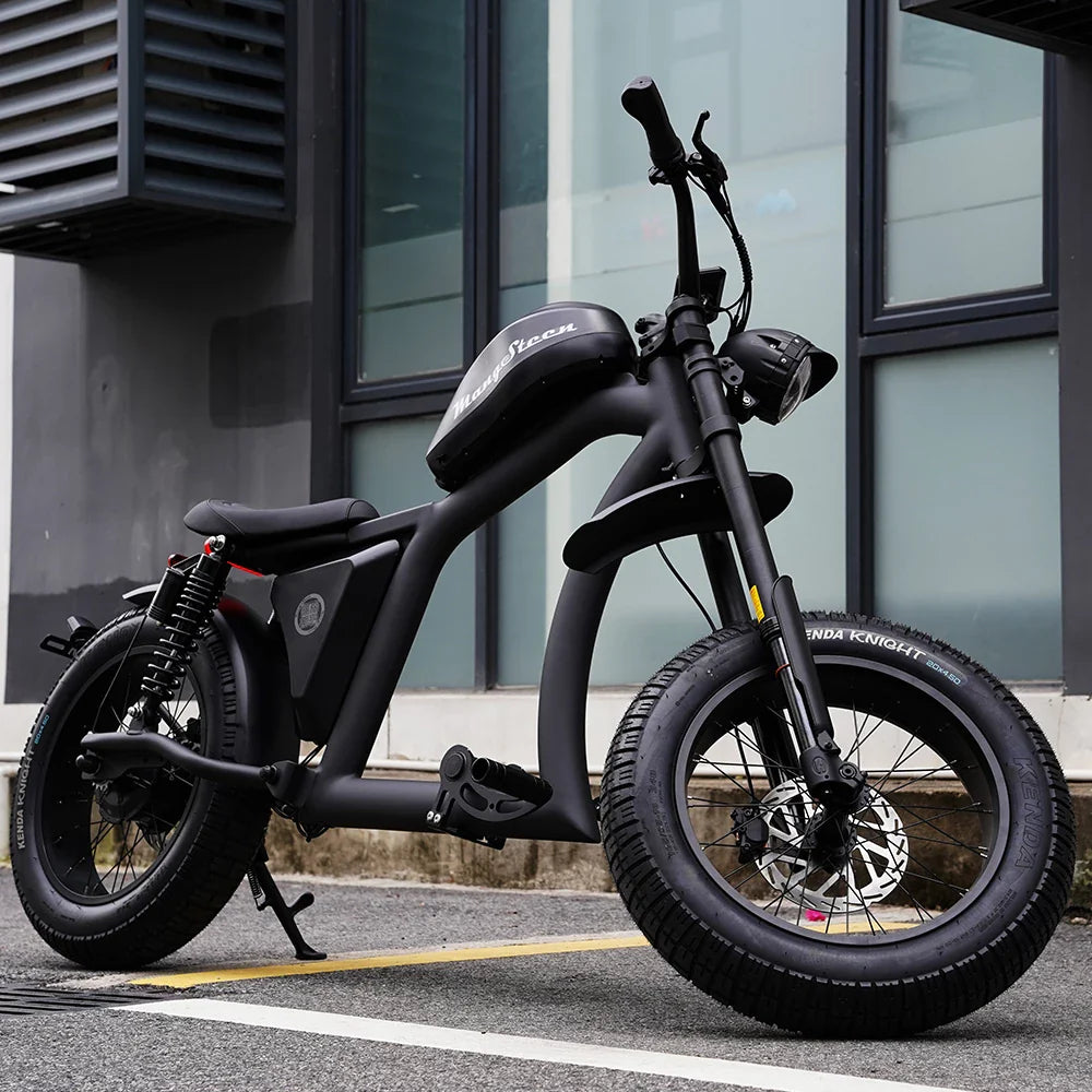 Mangosteen FT02 EEC Chopper Bike