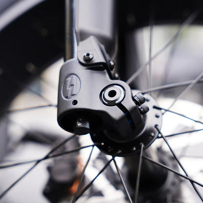 Mangosteen FT02 EEC Chopper Bike