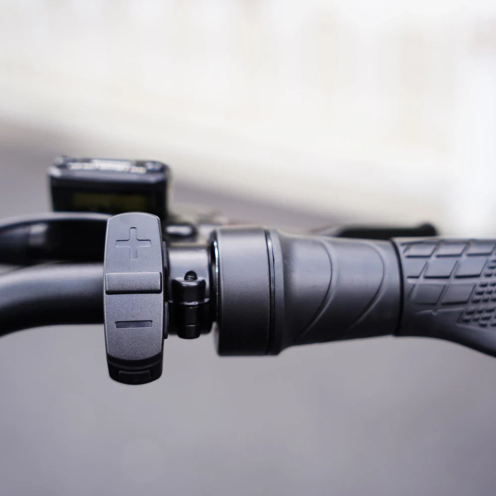 Mangosteen FT02 EEC Chopper Bike