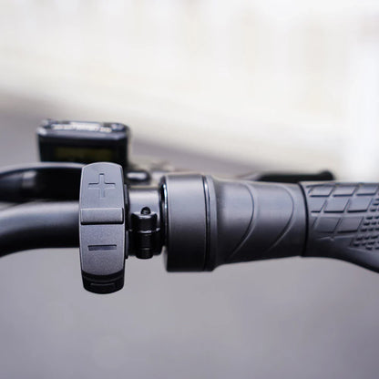 Mangosteen FT02 EEC Chopper Bike