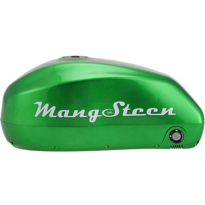 Mangosteen E-bike battery for FT02/FT02mini