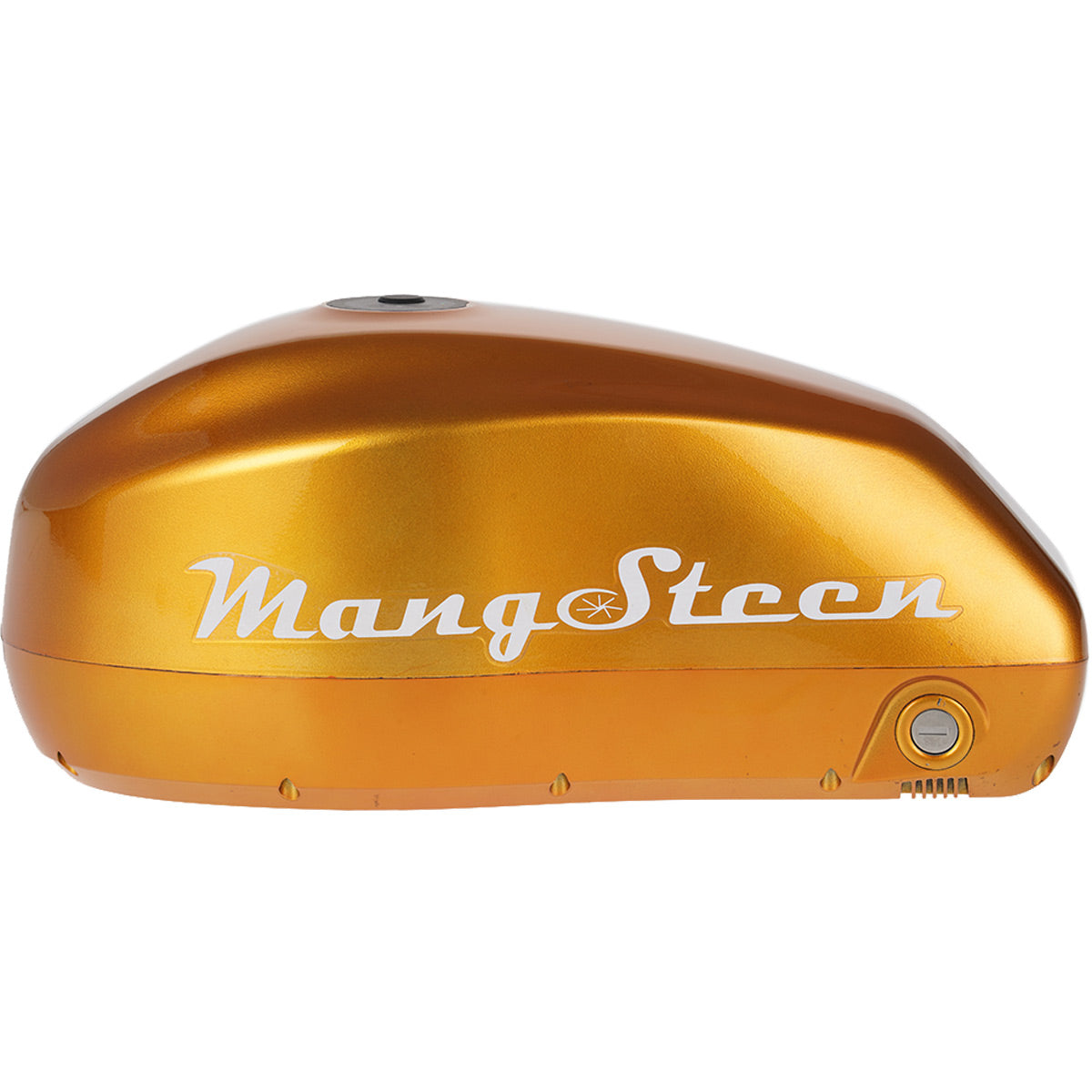 Mangosteen E-bike battery for FT02/FT02mini