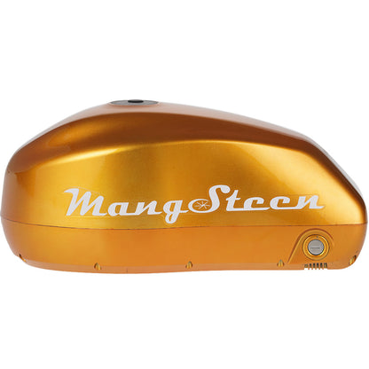 Mangosteen E-bike battery for FT02/FT02mini