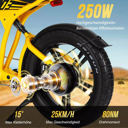 FT03 EBike 250w 18.2ah 25km/h