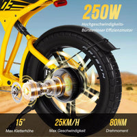 Mangosteen FT03 EBike