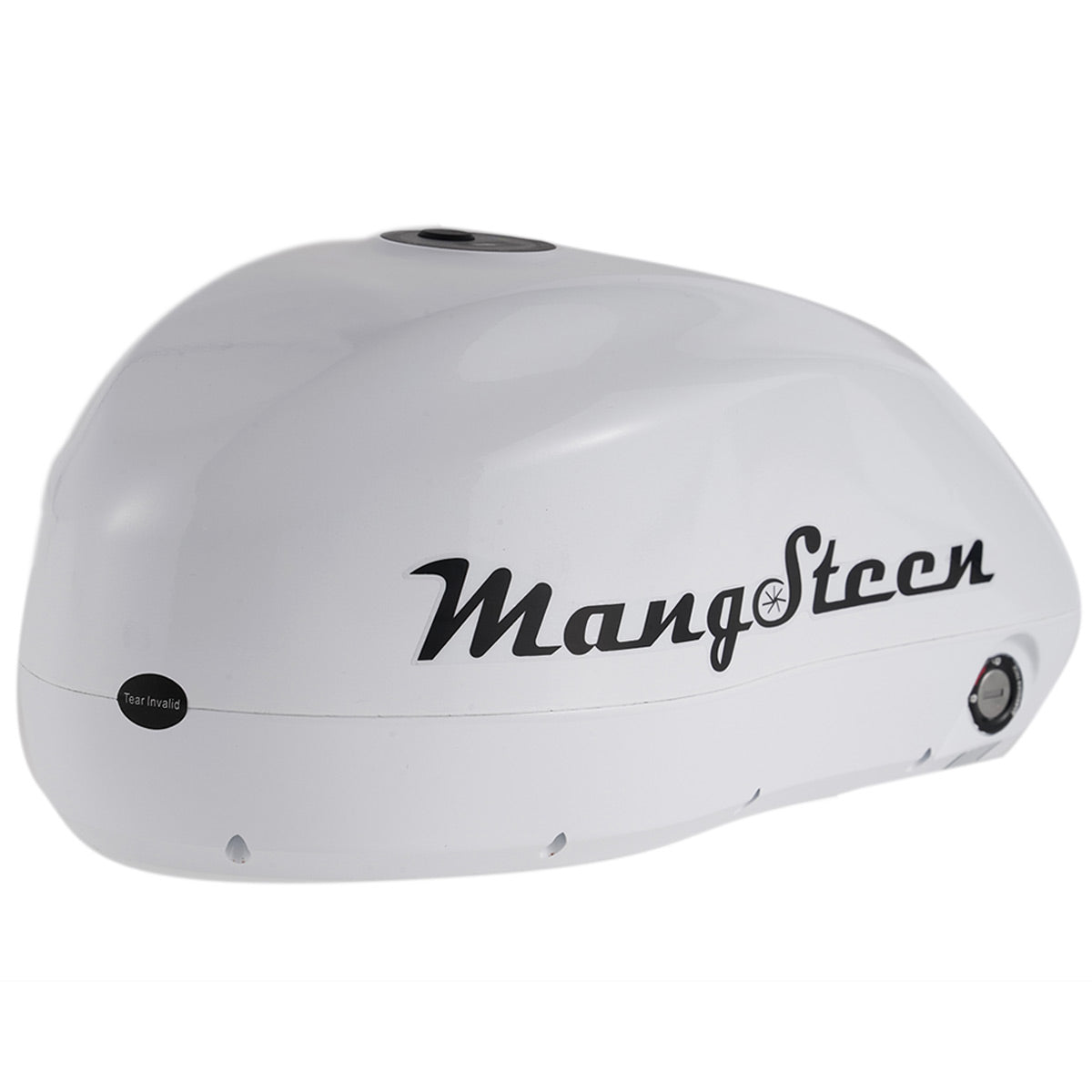 Mangosteen E-bike battery