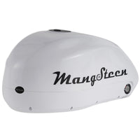 Mangosteen E-bike battery for FT02/FT02mini