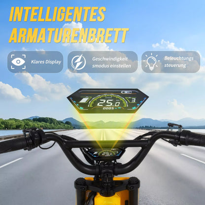 FT03 EBike 250w 18.2ah 25km/h