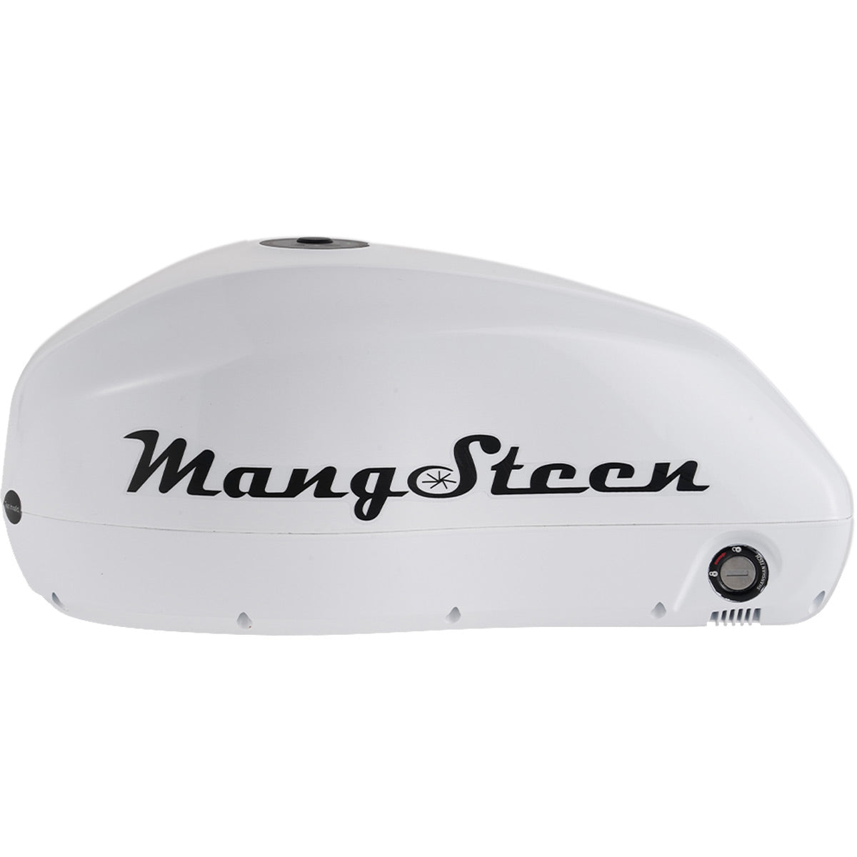 Mangosteen E-bike battery for FT02/FT02mini