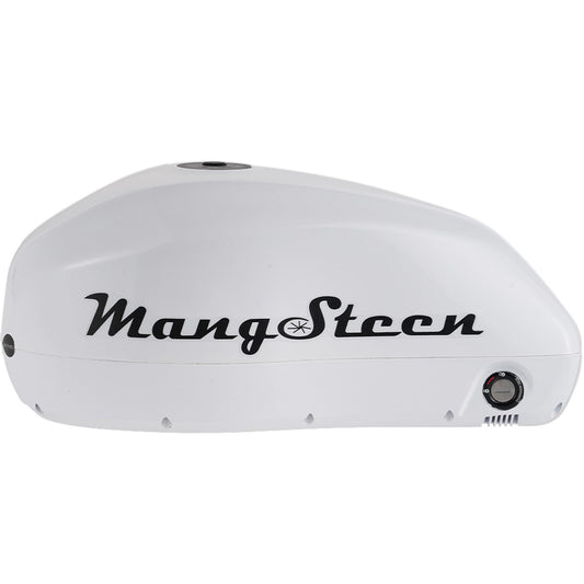 Mangosteen E-bike battery for FT02/FT02mini