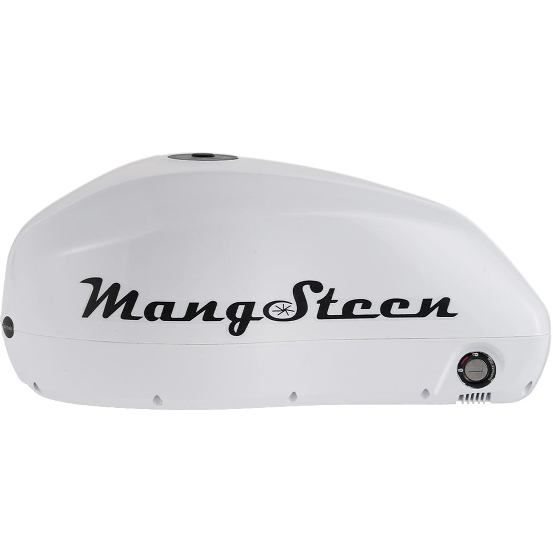Mangosteen E-bike battery for FT02/FT02mini