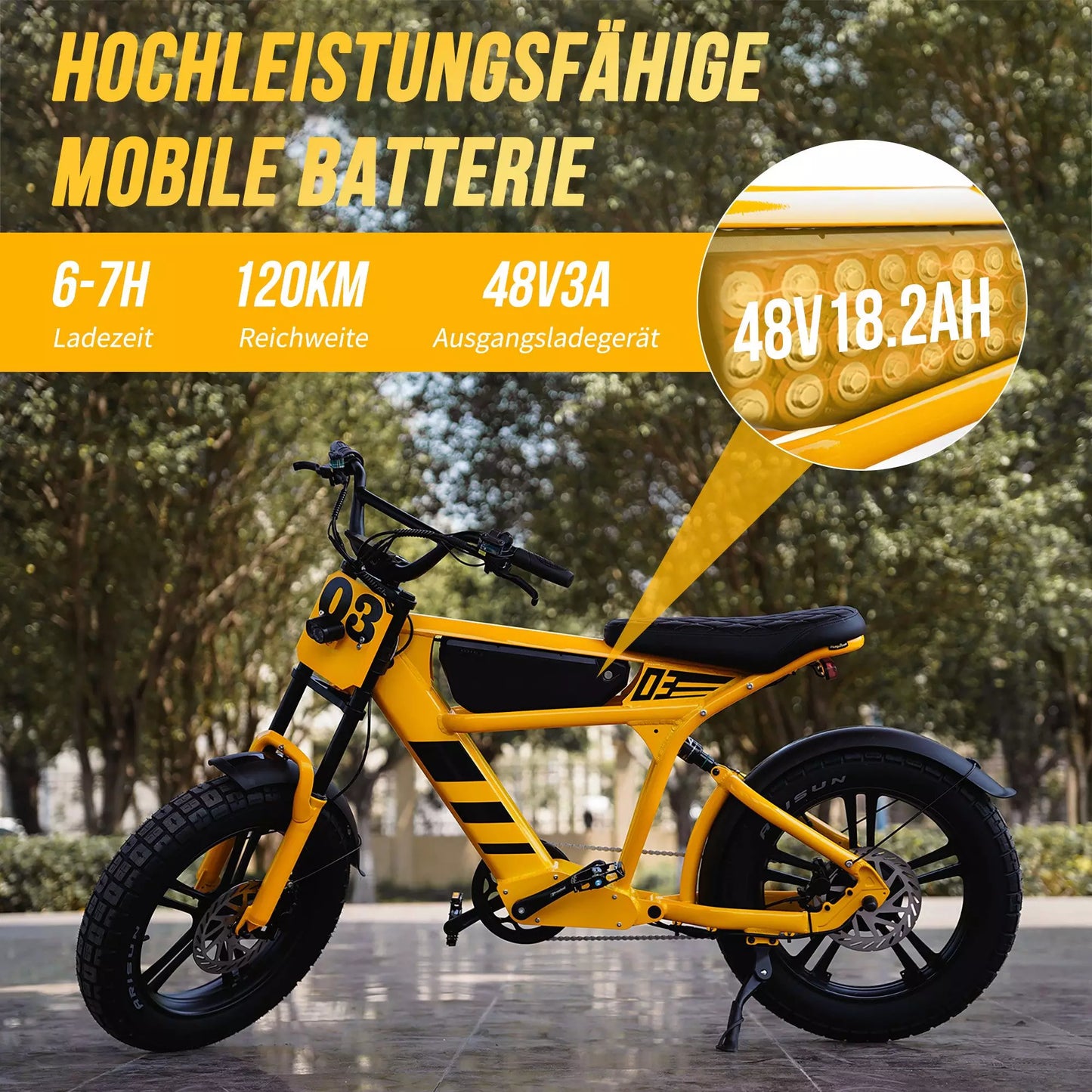 FT03 EBike 250w 18.2ah 25km/h