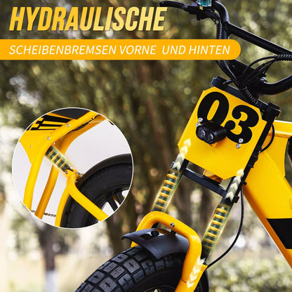 FT03 EBike 250w 18.2ah 25km/h