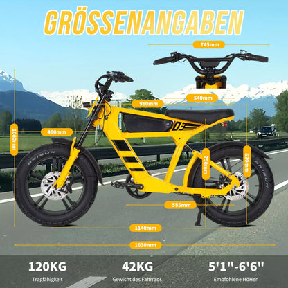 FT03 EBike 250w 18.2ah 25km/h