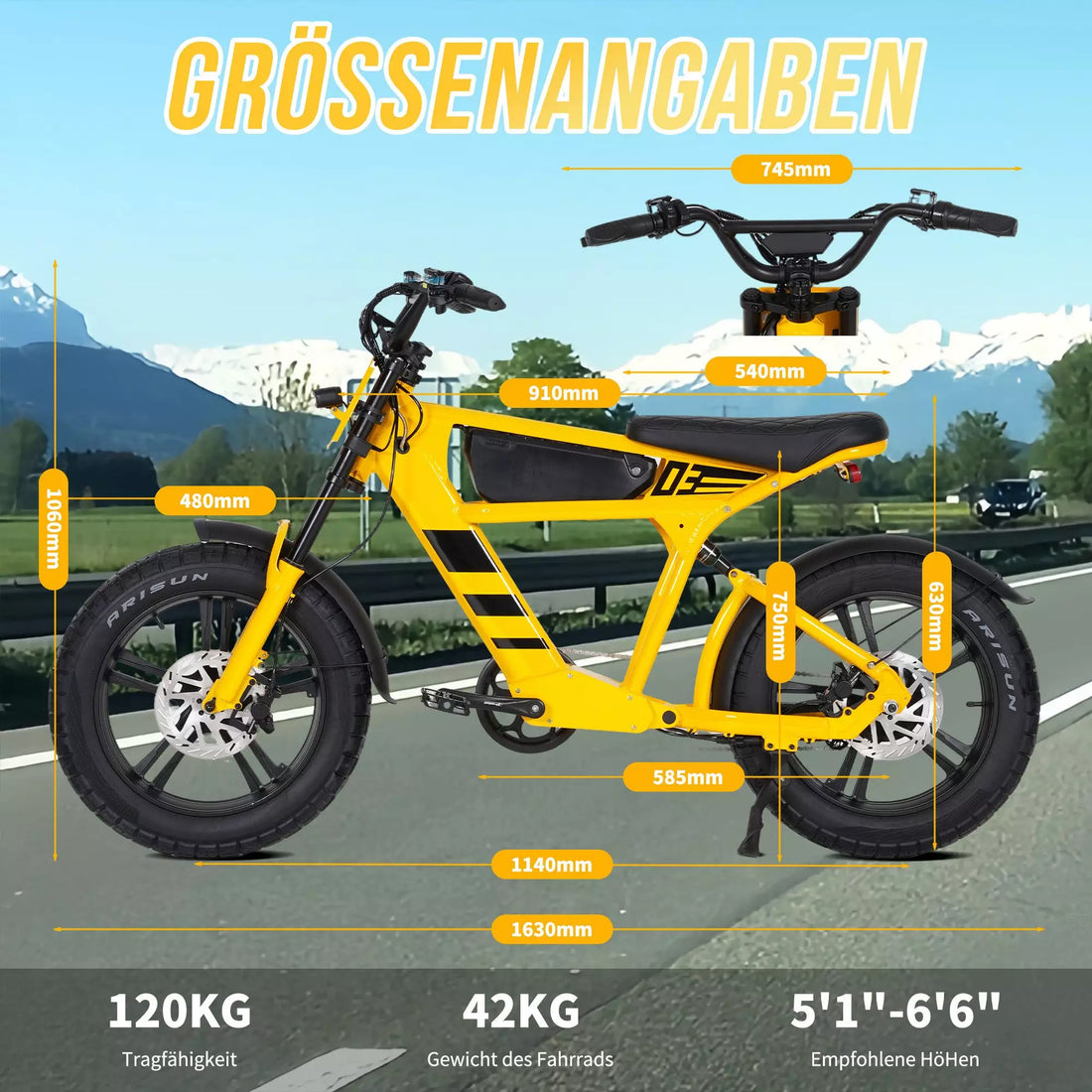 Mangosteen FT03 EBike
