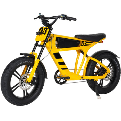FT03 EBike 250w 18.2ah 25km/h