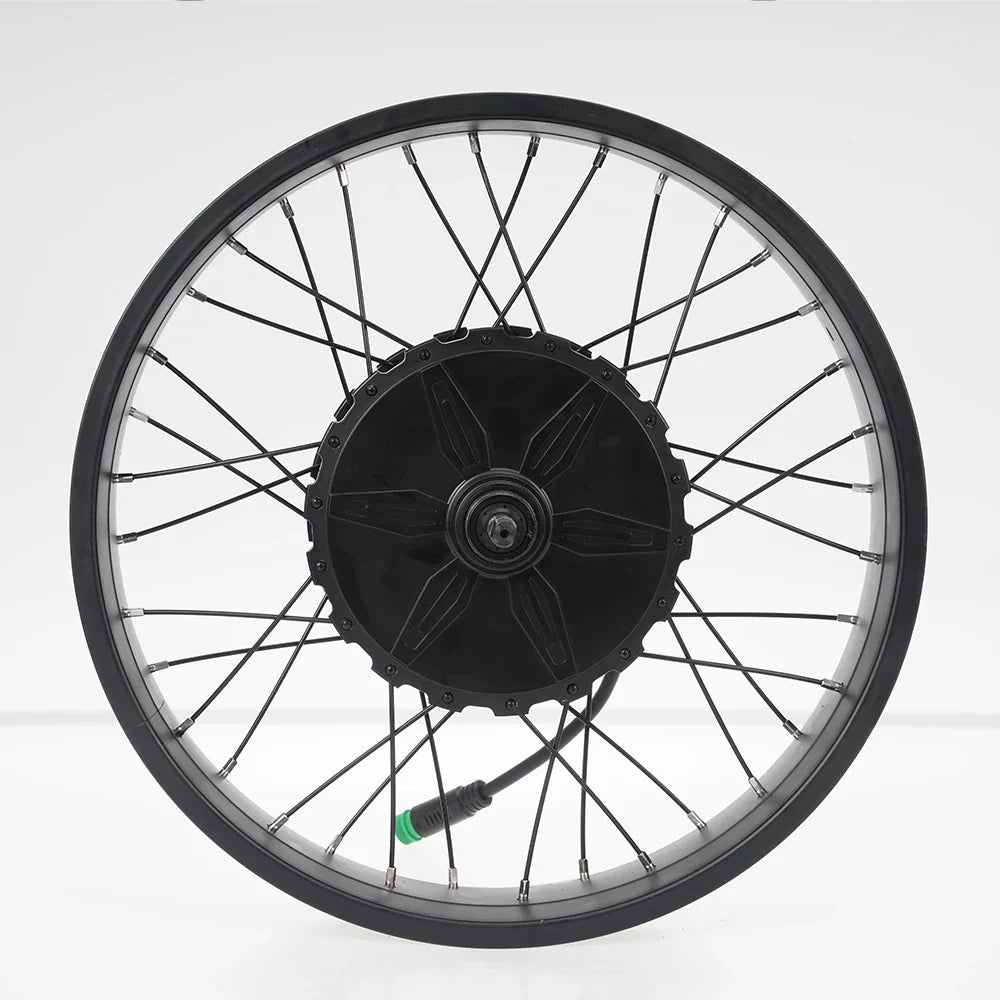 FT02 250w Motor