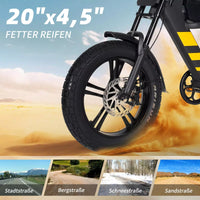 Mangosteen FT03 EBike