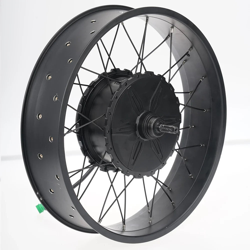 FT02 250w Motor