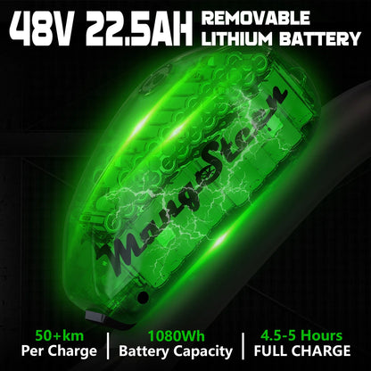 Mangosteen FT02 EEC Chopper Bike