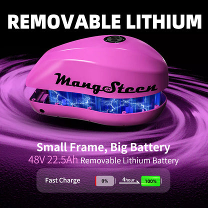 FT02 Mini Chopper Ebike 250w 22.5ah 25km/h