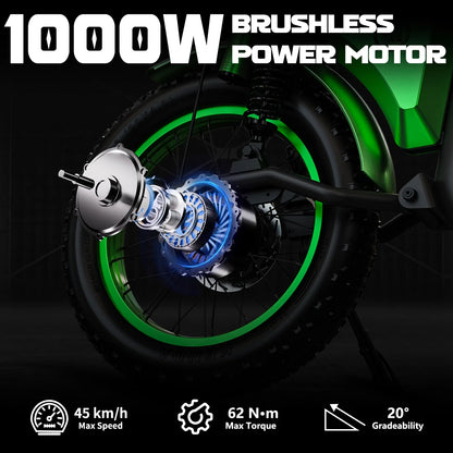 Mangosteen FT02 EEC Chopper Bike