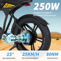 Mangosteen FT03 EBike
