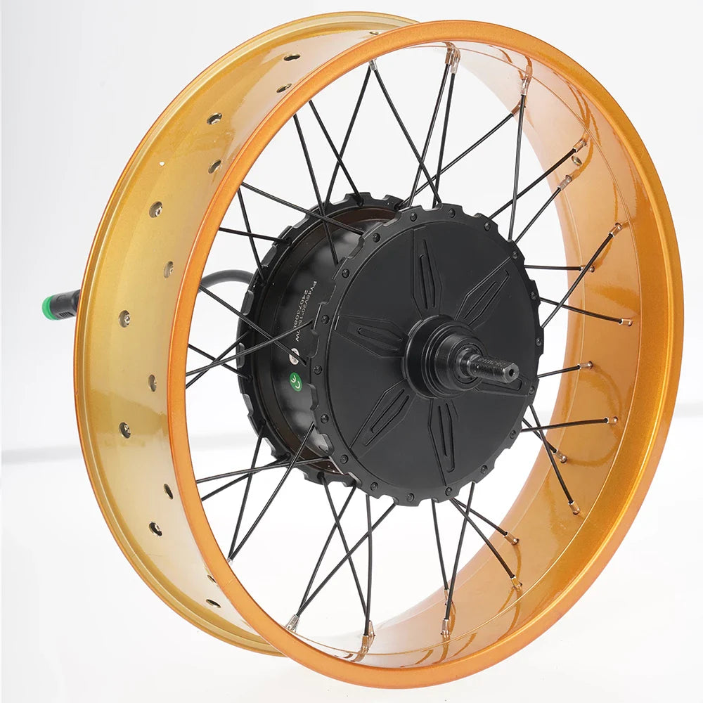 FT02 250w Motor