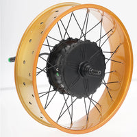 FT02 250w Motor