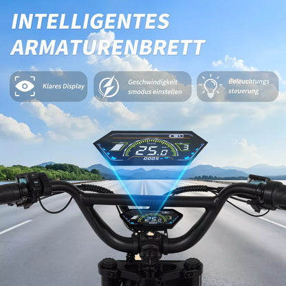 FT03 EBike 250w 18.2ah 25km/h