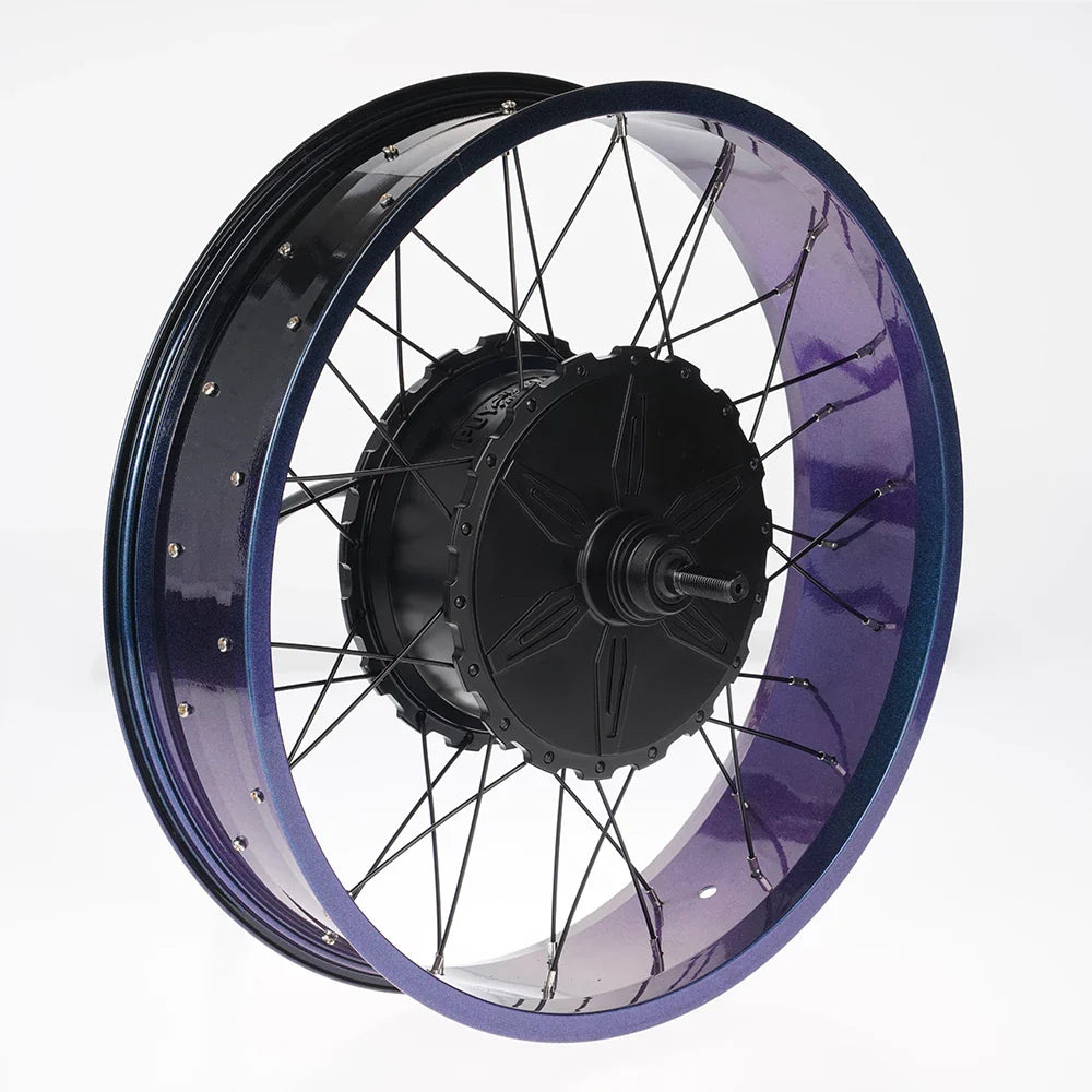 FT02 250w Motor