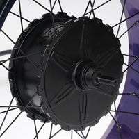 FT02 250w Motor
