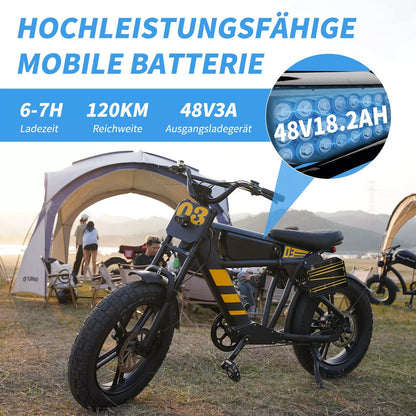 FT03 EBike 250w 18.2ah 25km/h