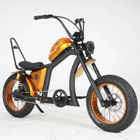 FT02 Handlebar-High Can be modified to high handlebars