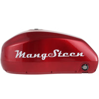 Mangosteen E-bike battery for FT02/FT02mini