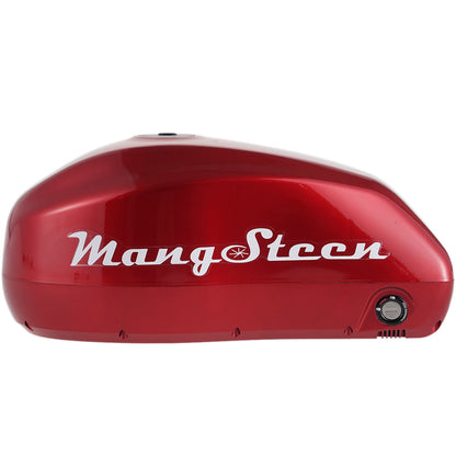 Mangosteen E-bike battery