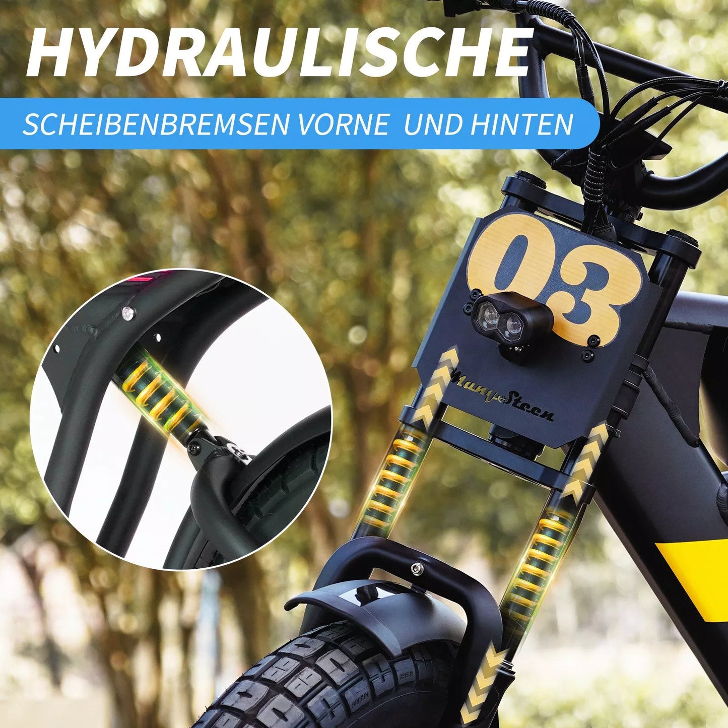 FT03 EBike 250w 18.2ah 25km/h