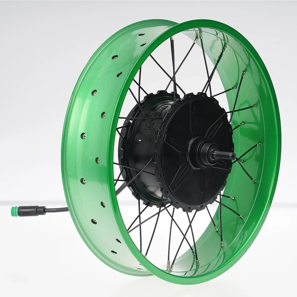 FT02 250w Motor