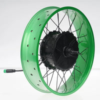 FT02 250w Motor