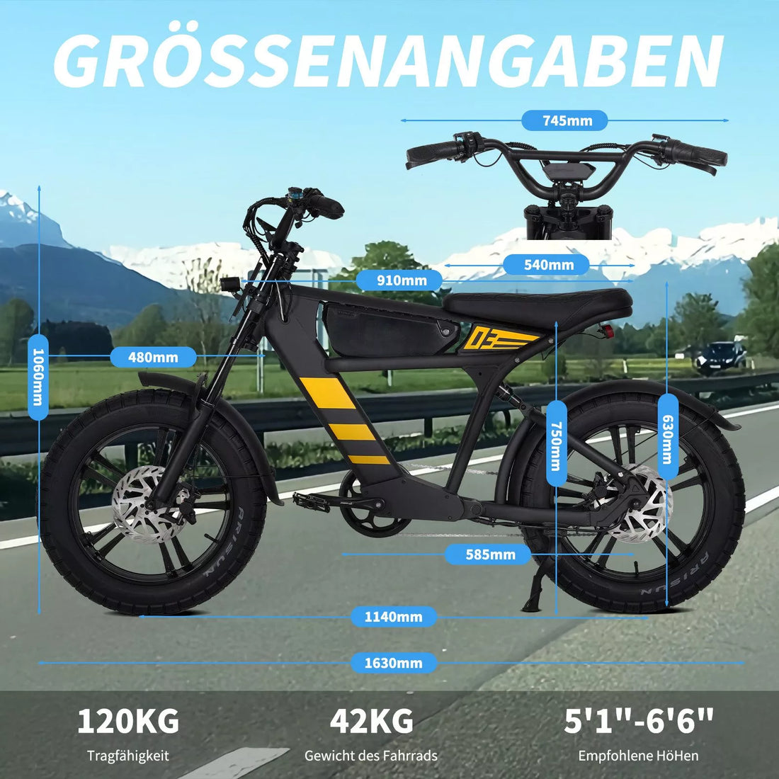 Mangosteen FT03 EBike