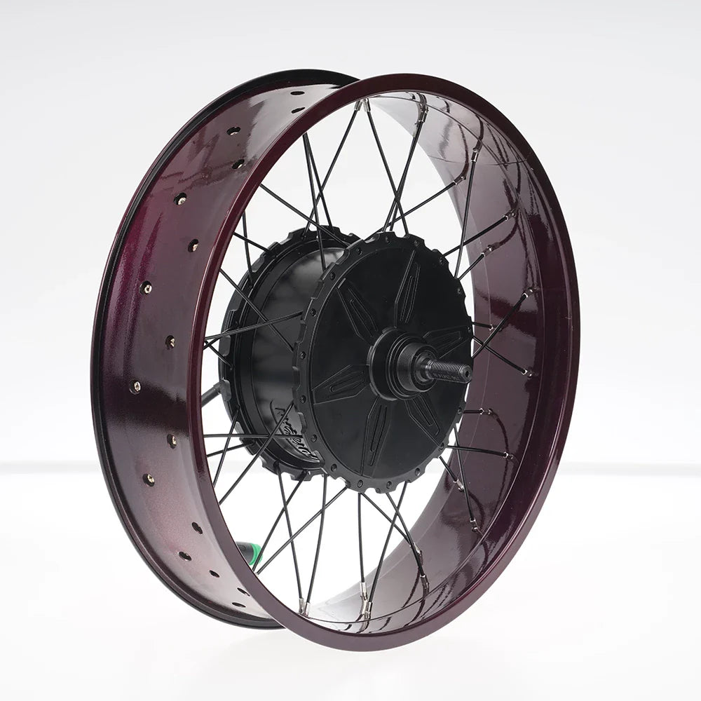 FT02 250w Motor