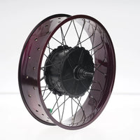 FT02 250w Motor