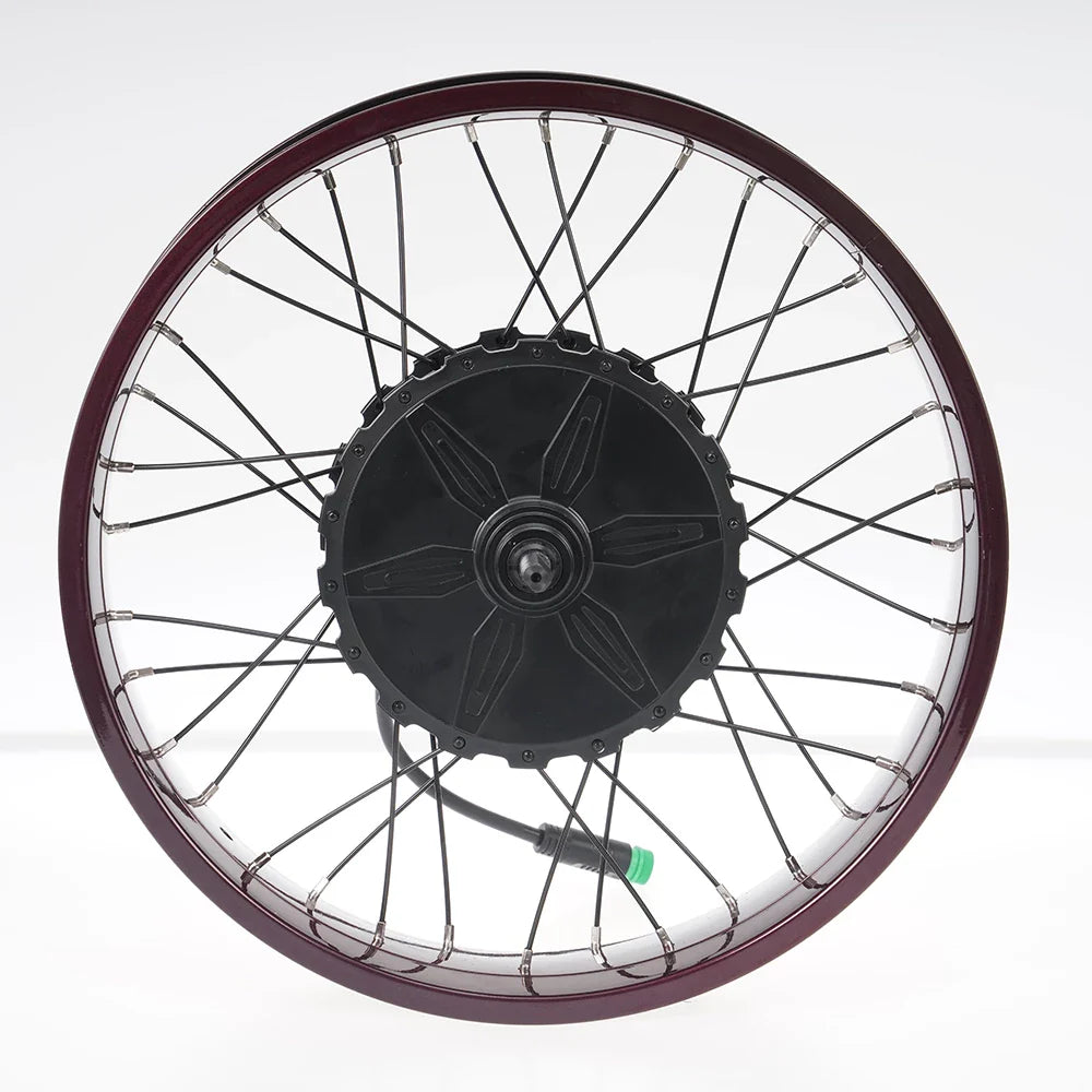 FT02 250w Motor