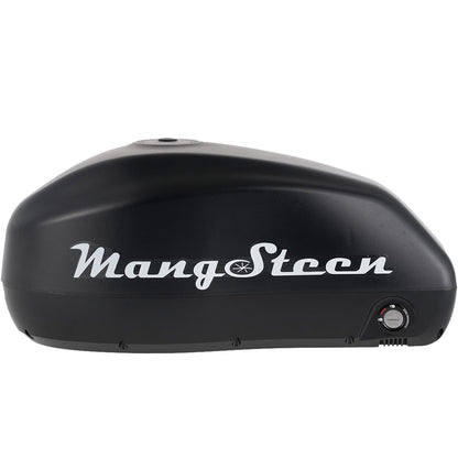 Mangosteen E-bike battery for FT02/FT02mini