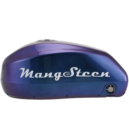 Mangosteen E-bike battery