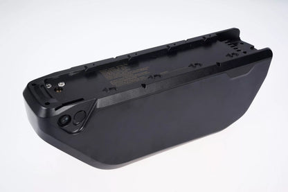 Mangosteen E-bike battery for FT02/FT02mini